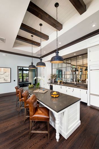 Posh Clubhouse at Town Trelago, Maitland, FL